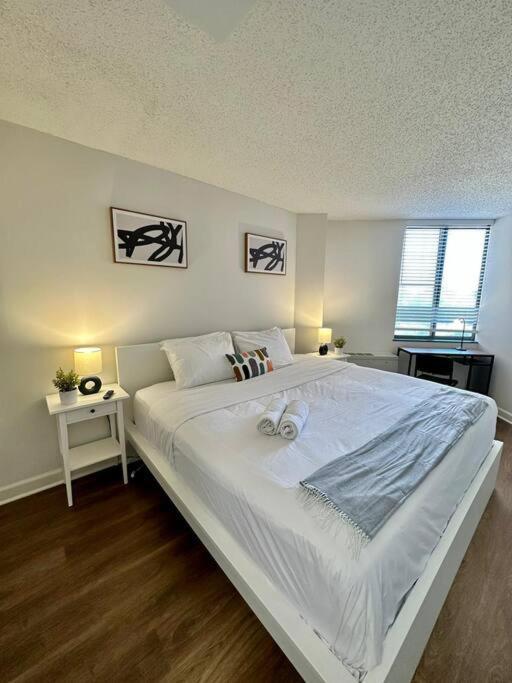 Incredible Apartment With Rooftop In Pentagon City Arlington Eksteriør bilde