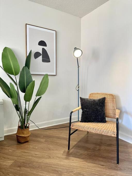 Incredible Apartment With Rooftop In Pentagon City Arlington Eksteriør bilde