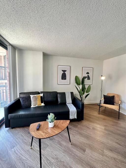Incredible Apartment With Rooftop In Pentagon City Arlington Eksteriør bilde